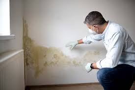 Biohazard Mold Removal in Morristown, IN